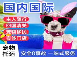 静巴音布鲁克机场快运国际宠物托运 【国